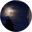 mick M. profile picture